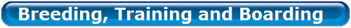 Breeding, Training and Boarding